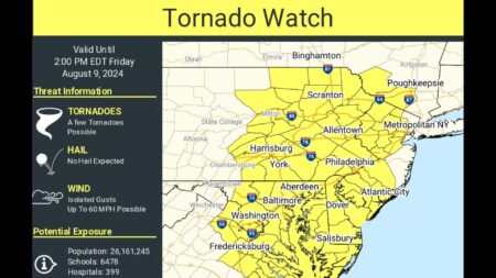 Powerful Storms Bring Tornado Warnings, 60 mph Winds, and Torrential Rain to NJ