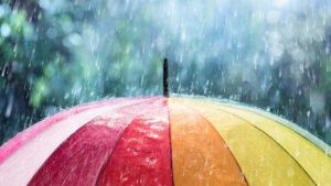 Rain, Rain, Go Away: Showers Persist Through the Weekend Before the Sunshine Returns