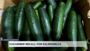 Cucumbers Recalled Nationwide Amid Salmonella Outbreak Sickening Over 20 People