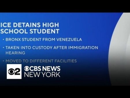 Bronx Teen’s Routine Immigration Court Visit Turns Into Unexpected ICE Encounter