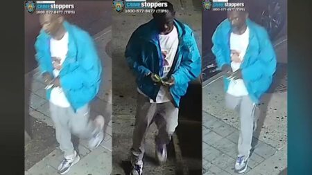 Woman Attacked and Robbed of  and Cellphone in Harlem