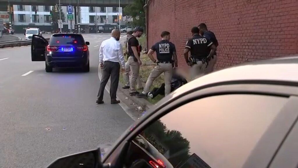 Dramatic Video Captures NYPD Officers Fleeing Scene of Fatal Crash