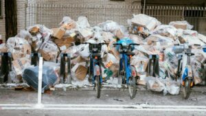 ‘New York, Let’s Unite to Tackle the Trash Crisis’