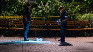 Tragic Loss: 14-Year-Old Fatally Stabbed Just Half a Mile from Home in NYC Park
