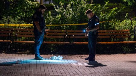 Tragic Loss: 14-Year-Old Fatally Stabbed Just Half a Mile from Home in NYC Park