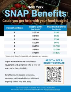 How Trump’s SNAP Cuts and the City Council’s Grocery Delivery Bill Threaten New Yorkers’ Access to Food