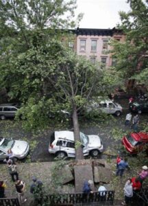 Brace for Flying Debris as Torrential Storms Soak NYC Area on Saturday