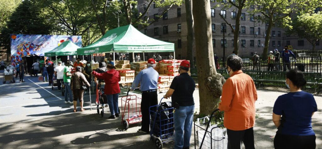 Tackling NYC’s Food Insecurity: Why Students Need More Than Just Education to Thrive
