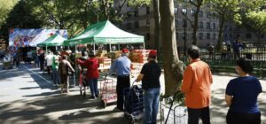 Tackling NYC’s Food Insecurity: Why Students Need More Than Just Education to Thrive