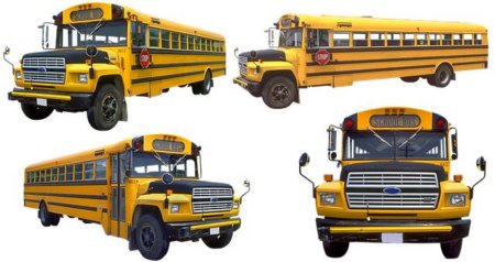 Challengers Demand School Bus Union Election Be Declared Invalid in Legal Battle Challengers Demand School Bus Union Election Be Declared Invalid in Legal Battle