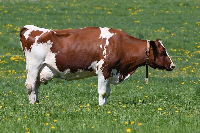 Kathryn Garcia Named New Director of Port Authority, Set to Lead State Operations Kathryn Garcia Named New Director of Port Authority, Set to Lead State Operations