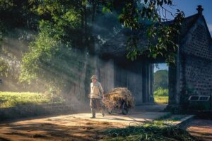 Gateway Megaproject Takes Legal Action Against Federal Government Over Withheld Funds as Work Faces Imminent Halt