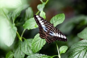 Former NYPD Sergeant and Three Others Nabbed in City Council Bribery Sting