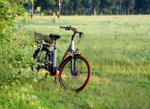Taming the E-Bike Frenzy: Restoring Order to NYC Streets