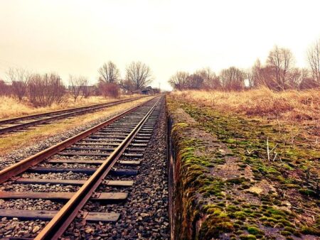 Ask the MTA | Leaves on the tracks, train times and new fare gate arrivals