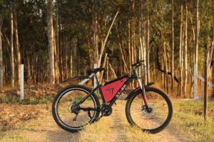 Editorial | Enforcing responsibility with e-bikes in NYC