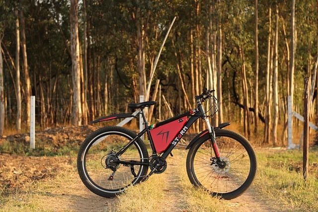 Editorial | Enforcing responsibility with e-bikes in NYC